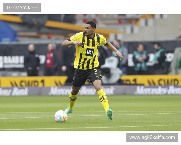 凯发体育在线登录官网引入高清直播技术，提升体育赛事观看体验深受用户好评