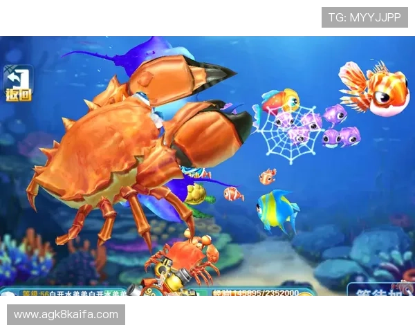 实用K8捕鱼技巧指南让你在游戏中轻松应对各种捕鱼场景 实用K8捕鱼技巧指南让你在游戏中轻松应对各种捕鱼场景