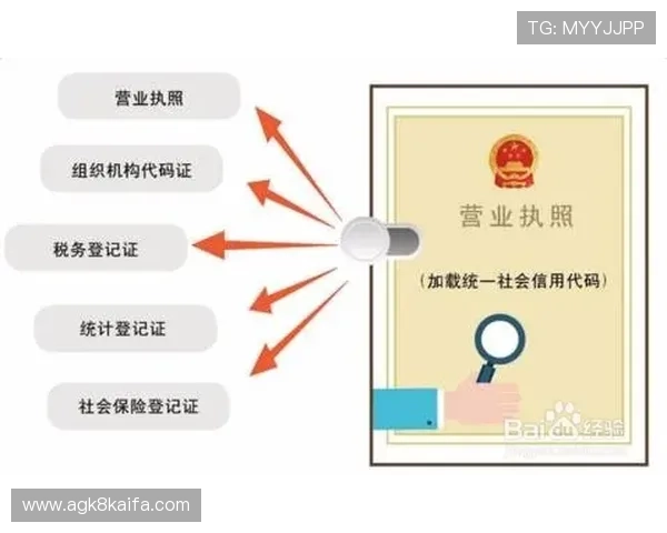 凯发注册游戏公司地址注册流程全攻略及注意事项