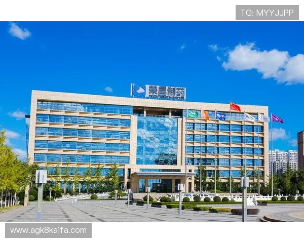 K8凯发旗舰厅下载官网用户体验优化措施，持续提升平台操作便捷性与稳定性